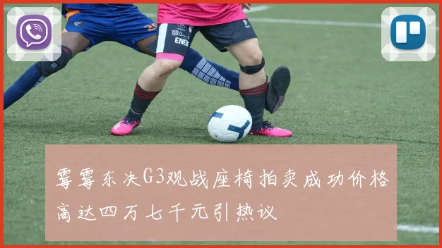 霉霉东决G3观战座椅拍卖成功价格高达四万七千元引热议